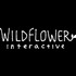 『The Last of Us』『アンチャーテッド』の開発者が率いる新たな開発スタジオWildflower Interactive発表